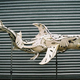Illustration for article titled Hubcap Sculptures Make Robot Pets